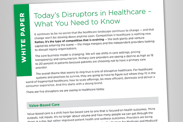Examples Of White Papers In Healthcare Examples Of White Papers In Healthcare